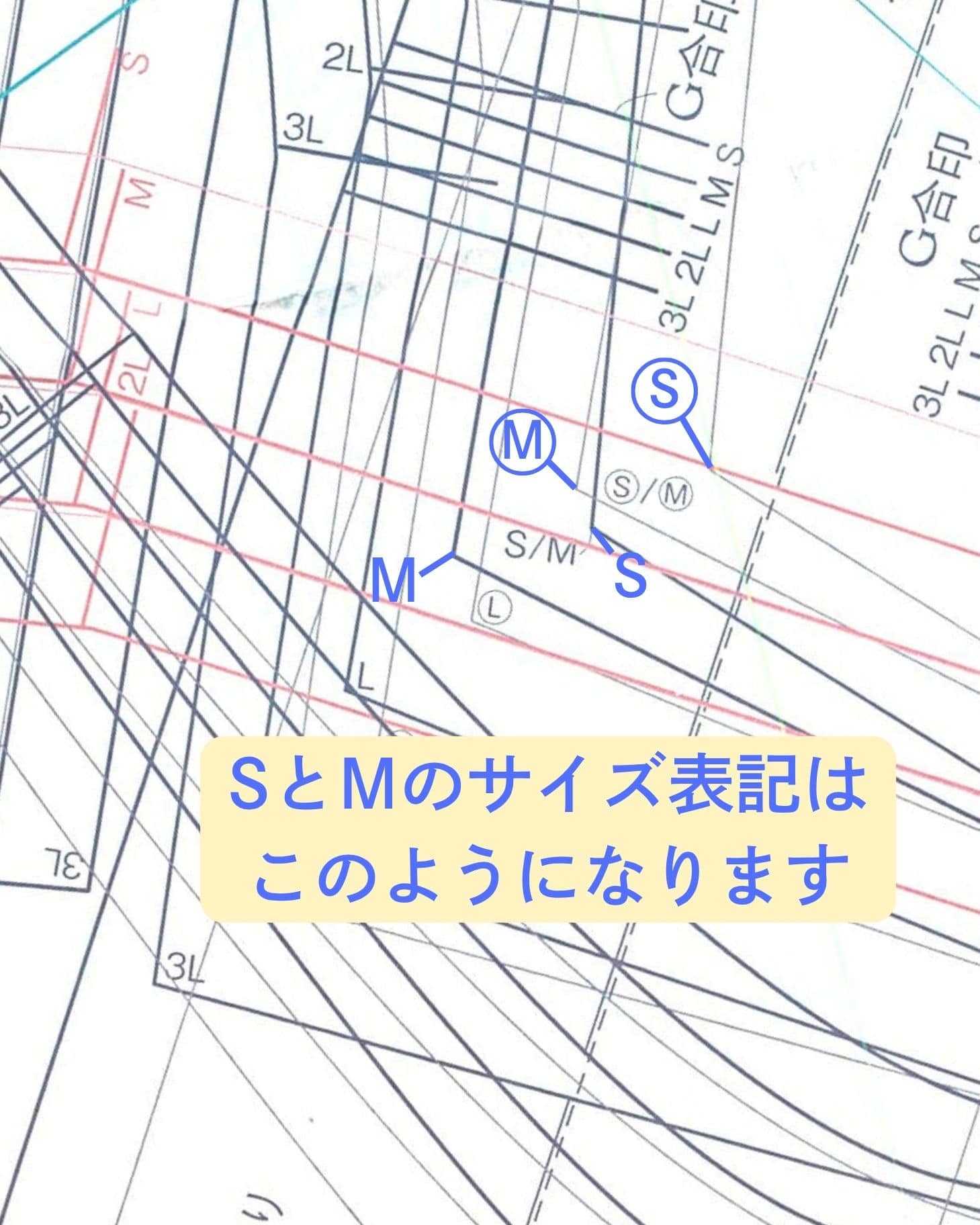 ■型紙C面　作品G ボウタイブラウス「前身頃」