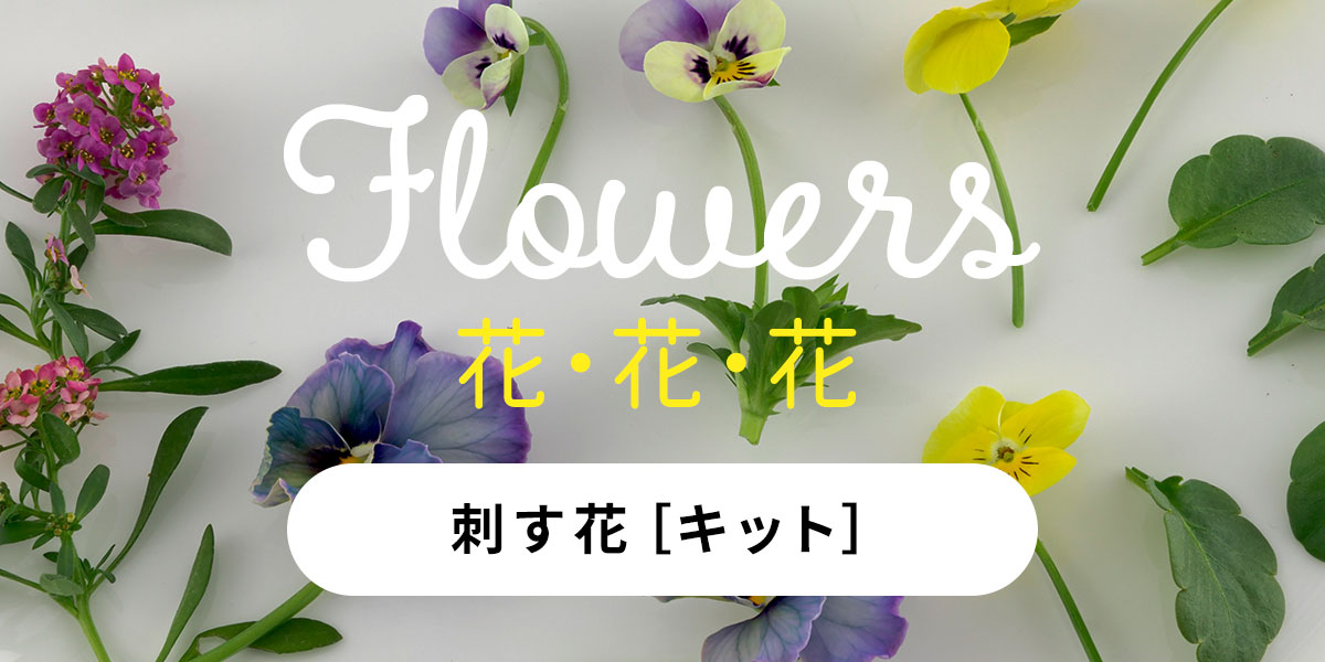 刺す花［キット］: おすすめ(並び順：価格(高い順))｜手づくりタウン