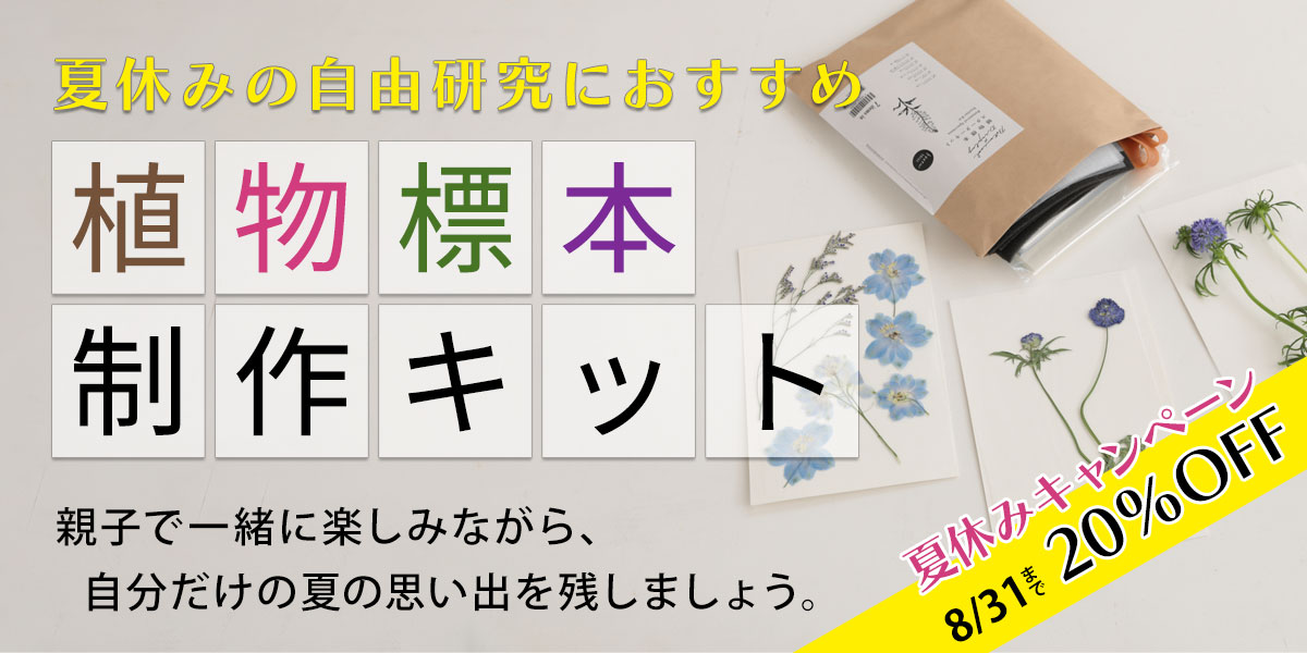 夏休みの自由研究におすすめ 植物標本制作キット - 8/31まで20％OFF