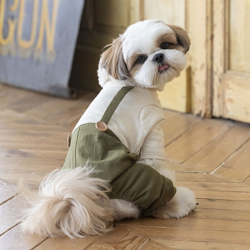 商用利用OK! 大人服みたいなわんこ服