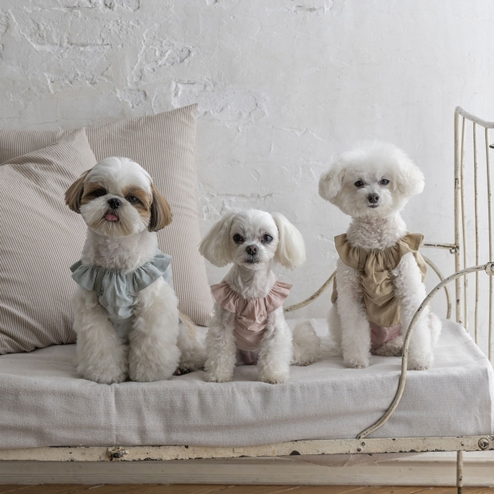 商用利用OK! 大人服みたいなわんこ服