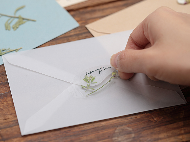 植物標本スターターキット ビギナー