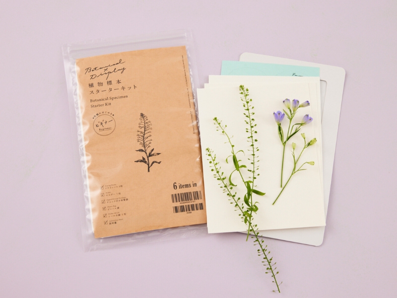 植物標本スターターキット ビギナー