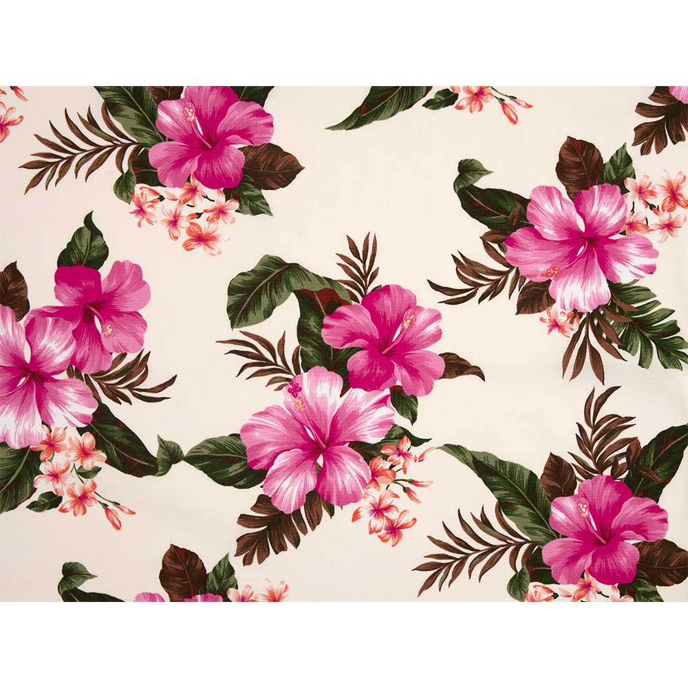 ハイビスカス　1ｍ単位