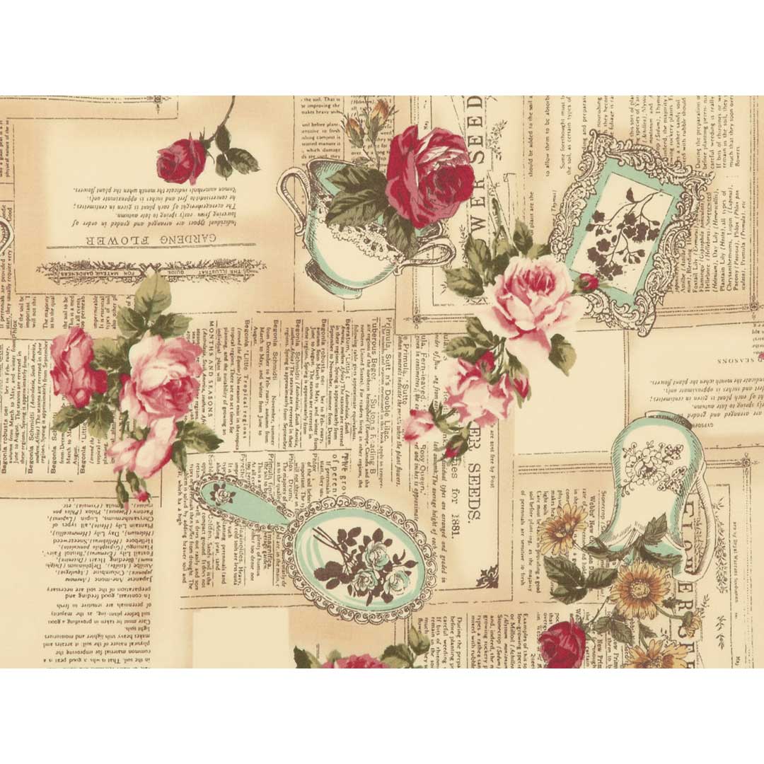 ヴィクトリアンローズ　50ｃｍ単位