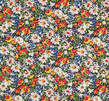 イモジェン　50ｃｍ単位