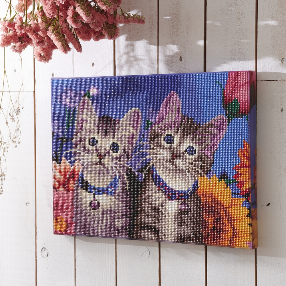 ダイヤモンドフィックス　子猫たち