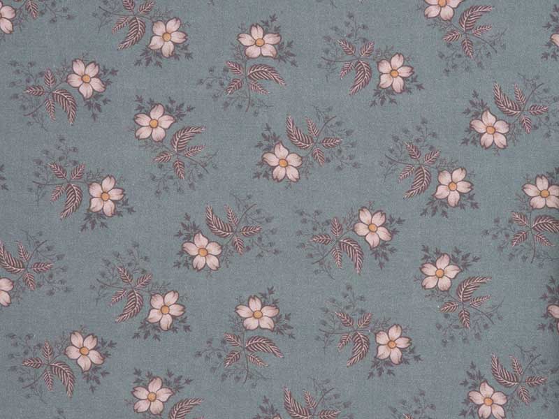 クレマチス　50ｃｍ単位