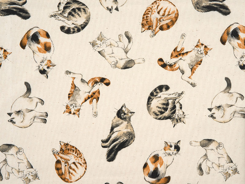 バラエティキャット　1ｍ単位