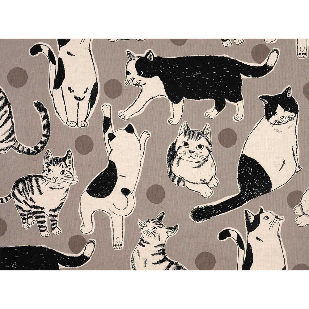 ビッグキャット 50cm単位