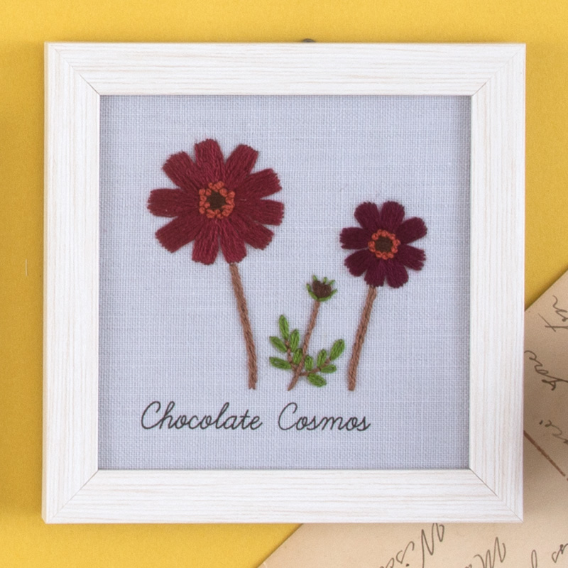 青木和子の植物手帖［11月・チョコレートコスモス］