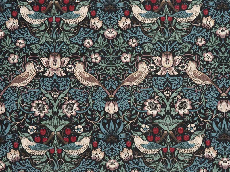 苺泥棒　50ｃｍ単位