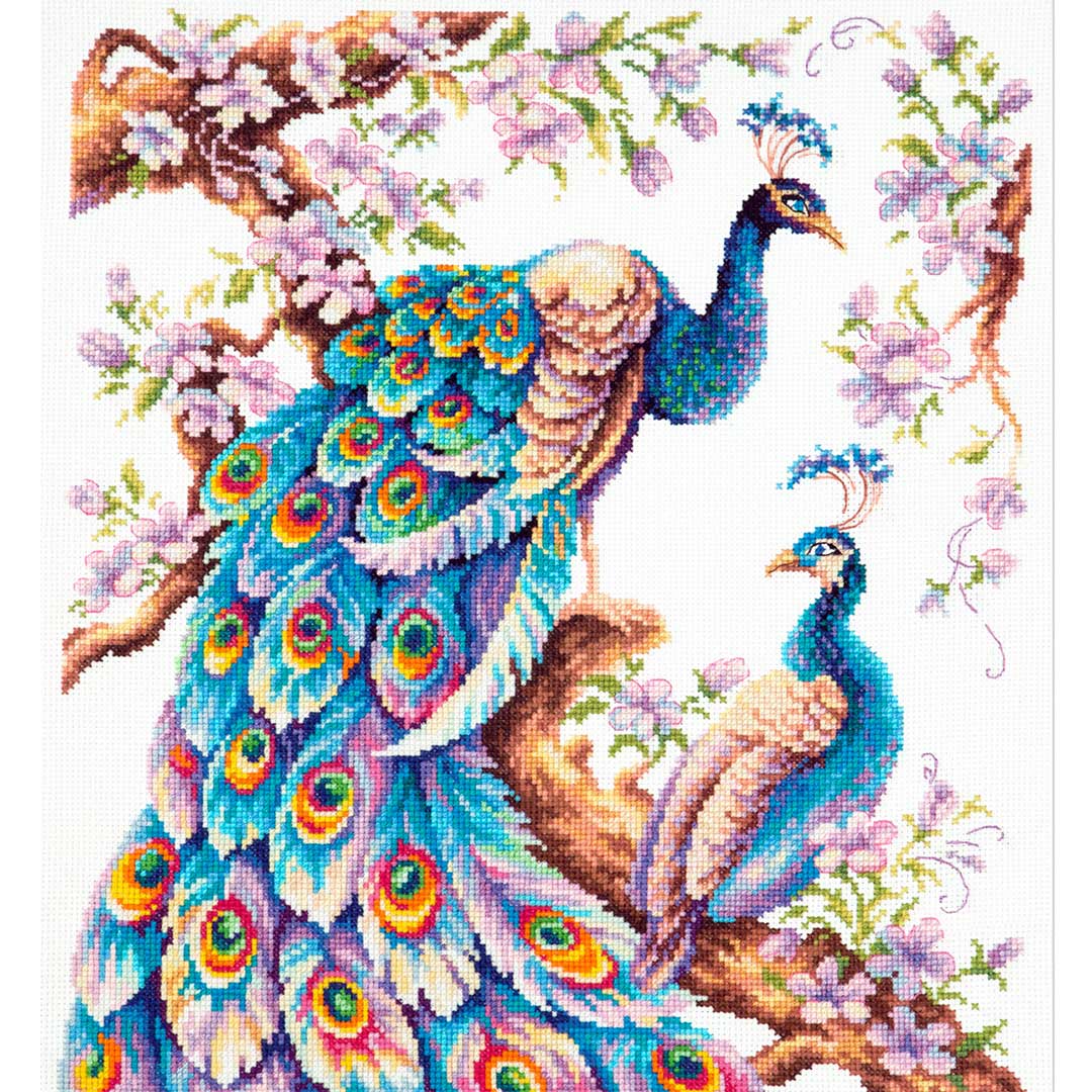 孔雀柄　刺繍　打ち掛け 打掛(赤、金、黒地・孔雀)｜着物レンタルあき (来店着付け無料・全国