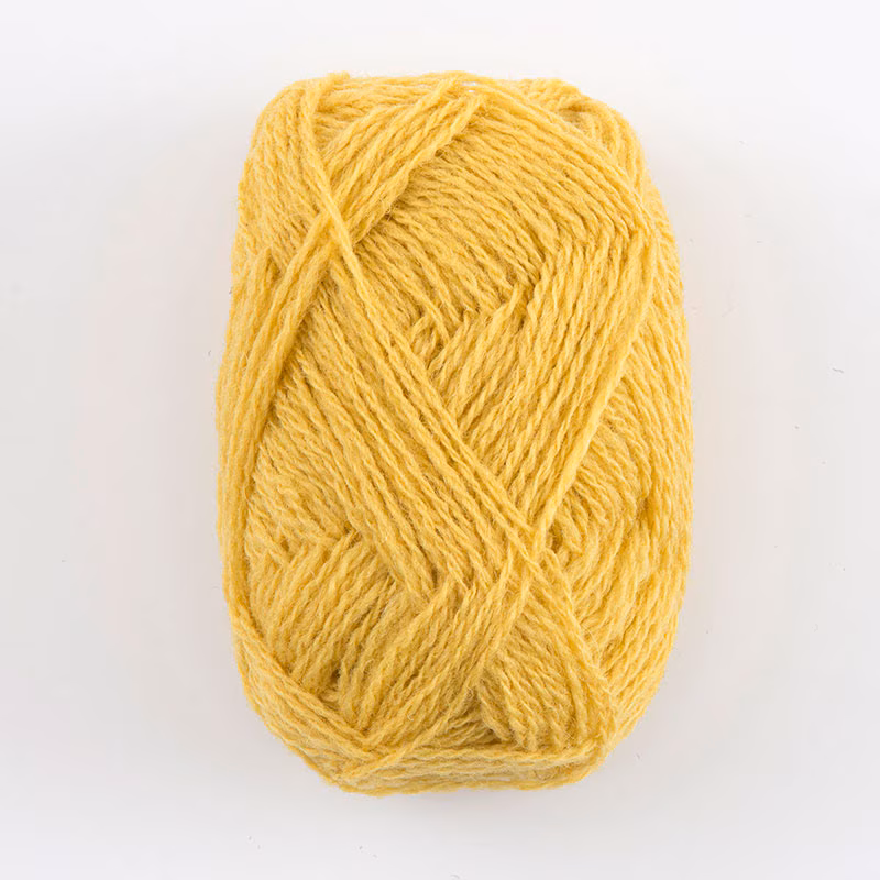 シェットランド スピンドリフト（0390）Daffodil