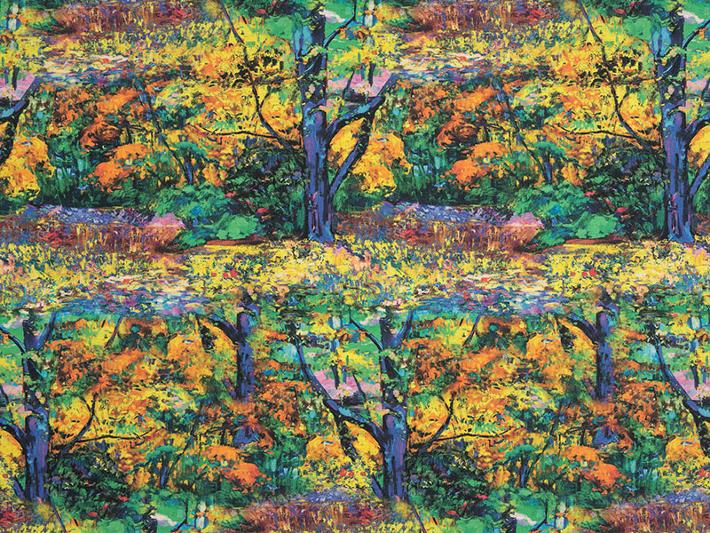 グロリアスフォレスト　50ｃｍ単位