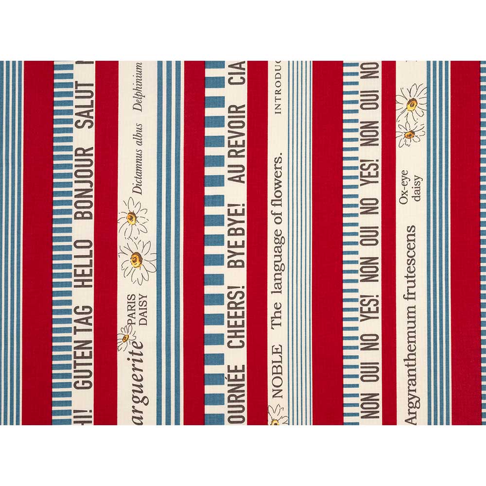 デイジーストライプ 50cm単位