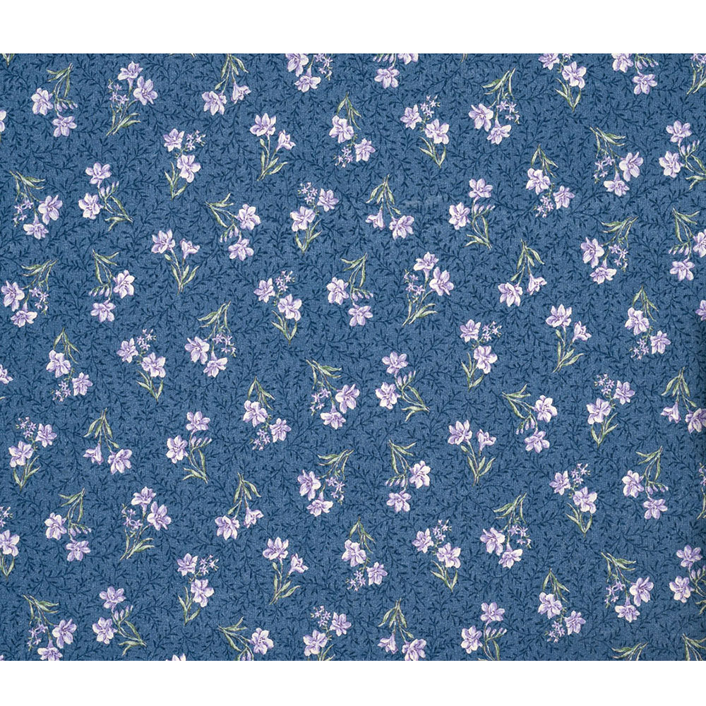 フリージア　50ｃｍ単位