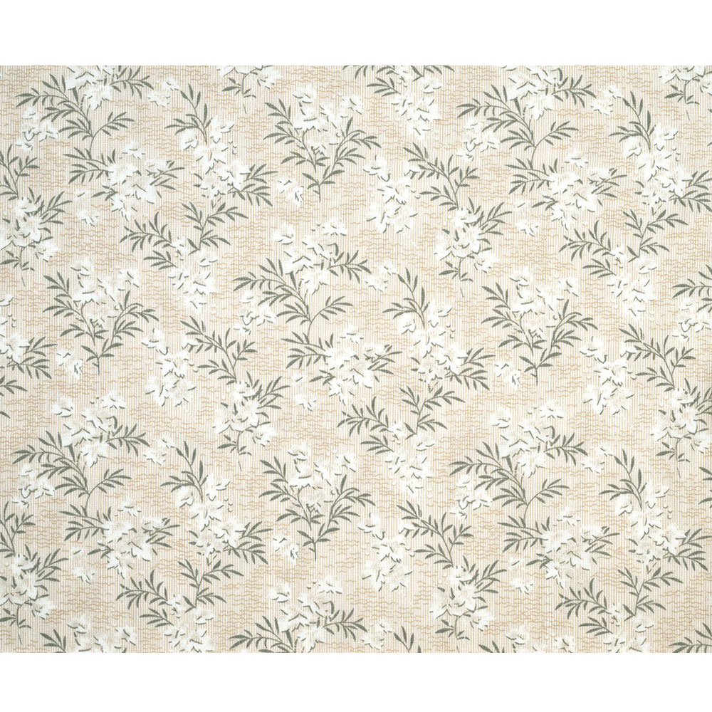 ＊アッシュプラント　1ｍ単位