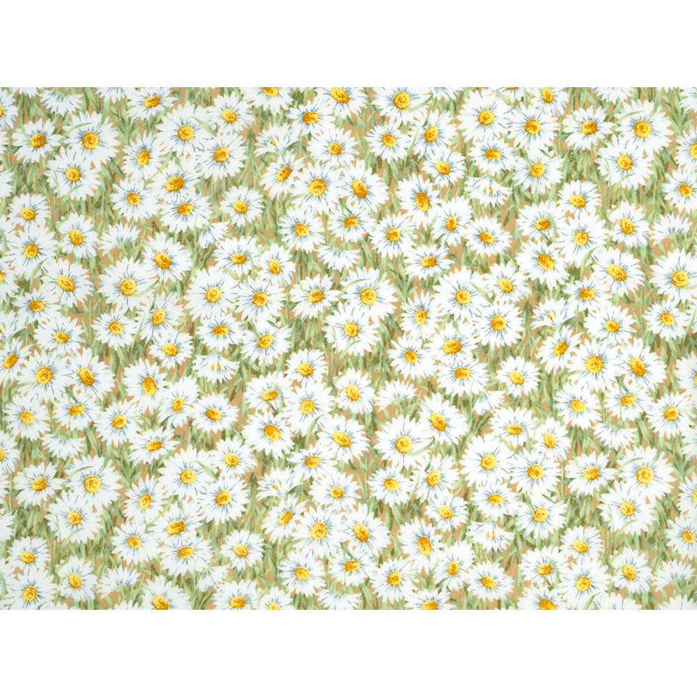 マーガレット 1m単位