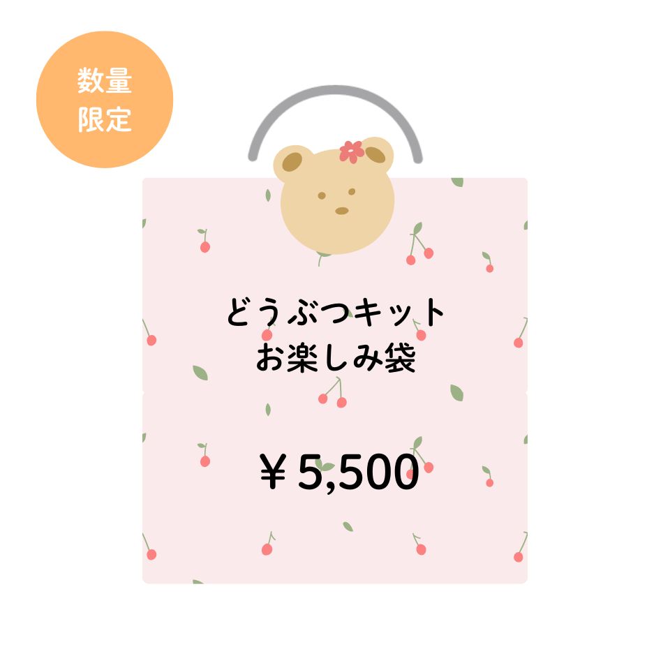 どうぶつキット お楽しみ袋