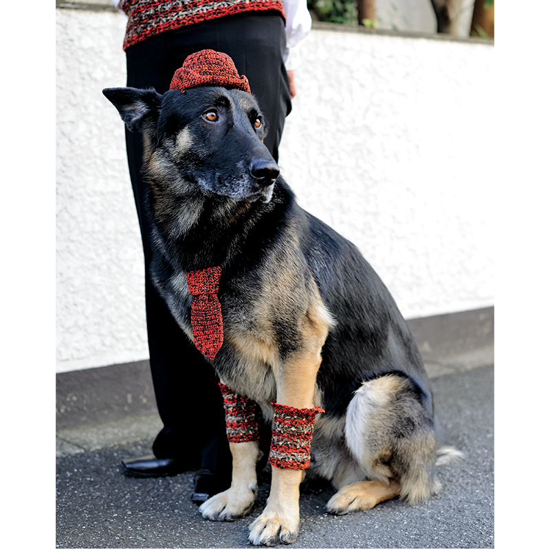 〈レシピ〉わんこの帽子＆ネクタイ＆レッグウォーマー