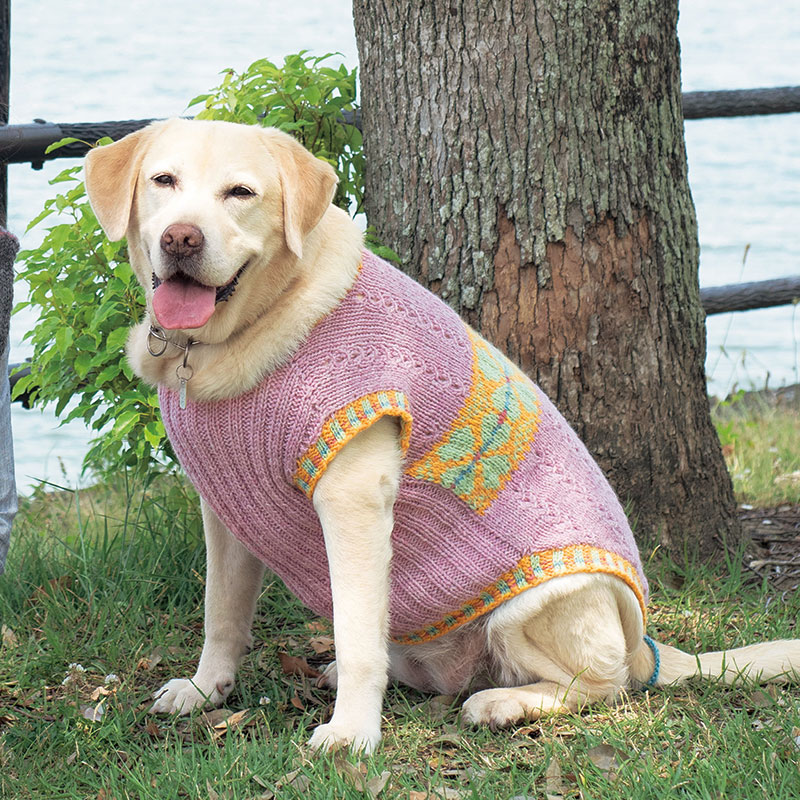 〈レシピ〉わんこのベスト