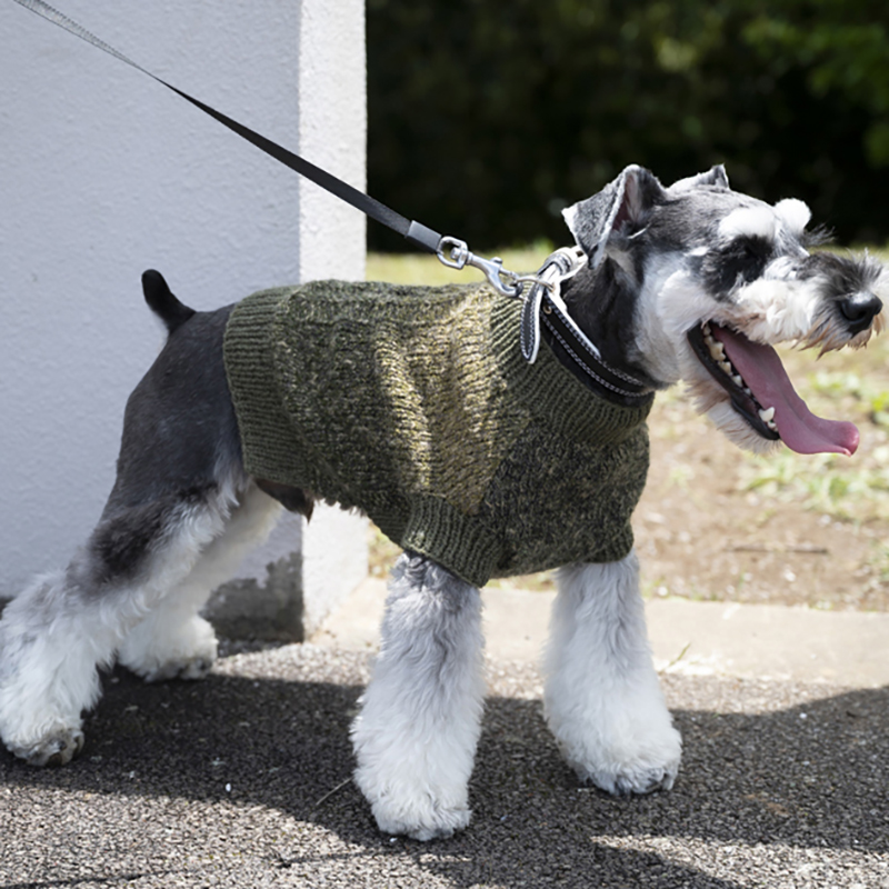 〈レシピ〉アラン模様のわんこのニット