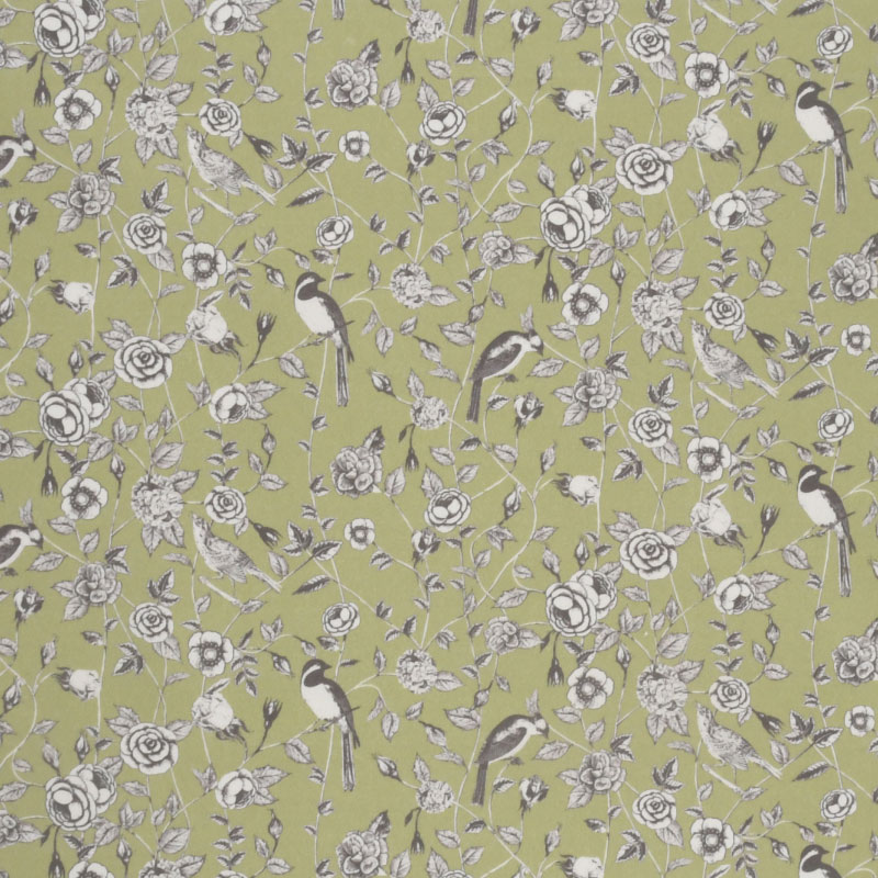 トワルドジュイ鳥柄　ピーグリーン（1m単位）