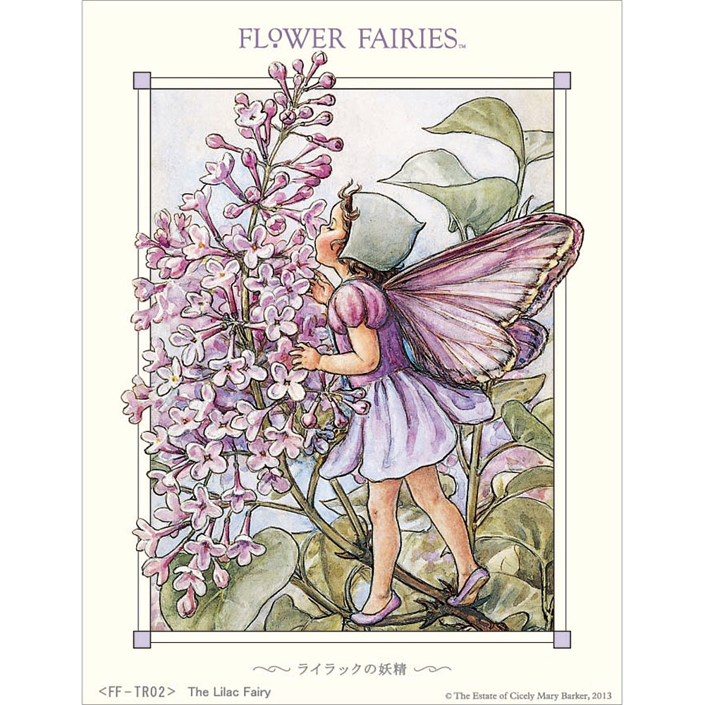 フラワーフェアリーズ　シャドーボックス　ライラックの妖精【溶剤なし】