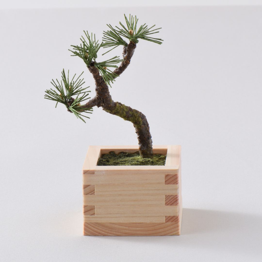 和紙盆栽キット 十二の季　松