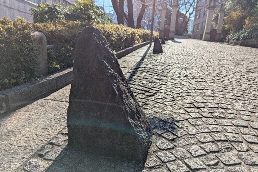 敷地に残されている石