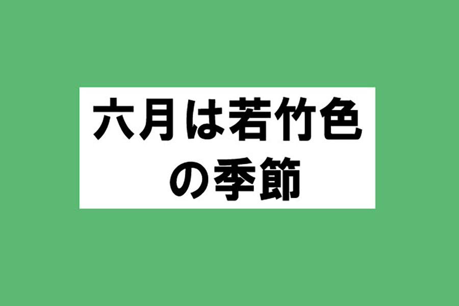 色彩レッスン－日本カラリスト協会ーvol.5