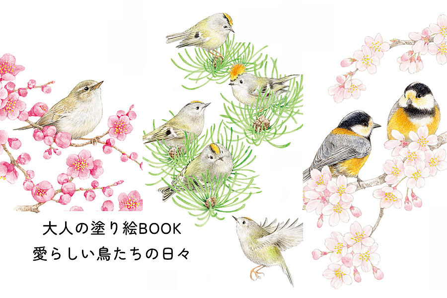 【11/13発売】全作品カラー見本つき!『大人の塗り絵BOOK 愛らしい鳥たちの日々』しもかわら ゆみ