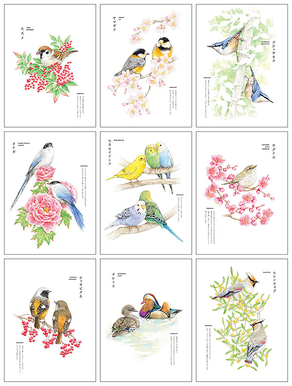 大人の塗り絵BOOK 愛らしい鳥たちの日々
