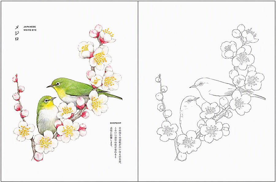 大人の塗り絵BOOK 愛らしい鳥たちの日々
