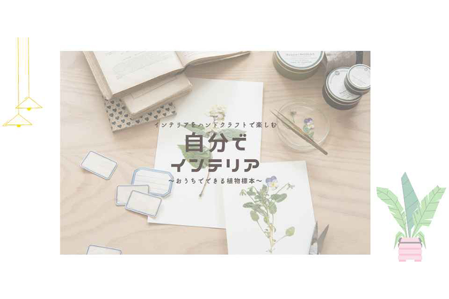 おうちでできる植物標本