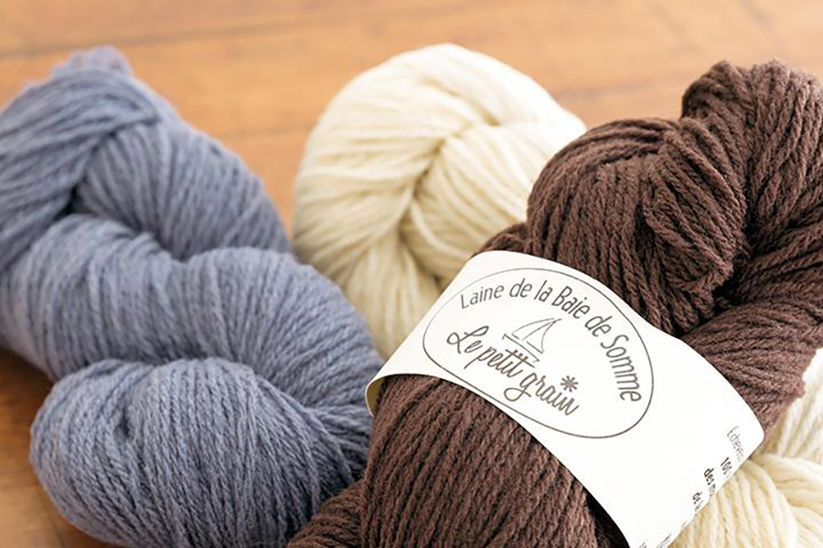 Laine de la Baie de Somme