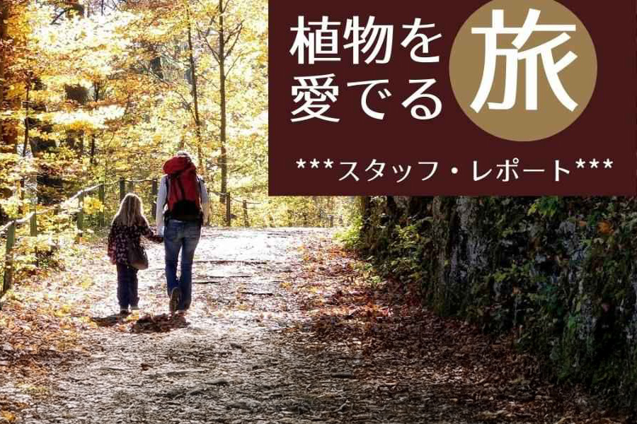 植物を愛でる旅　東京・神代植物公園　番外編「深大寺」