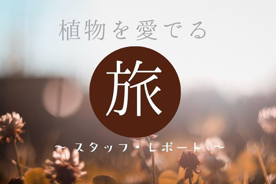 ベトナム・ホーチミン　サイゴン動植物園　その3