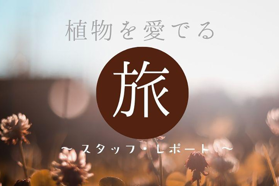 ベトナム・ホーチミン　サイゴン動植物園　その4