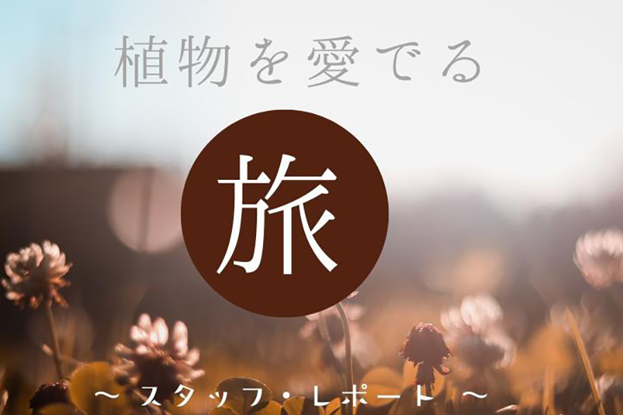 植物を愛でる旅　長野編＜前編＞