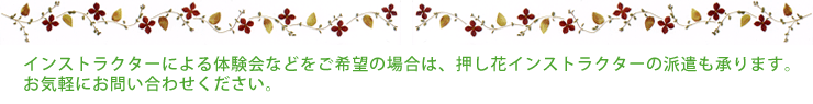 インストラクターによる体験会などをご希望の場合は、押し花インストラクターの派遣も承ります。お気軽にお問い合わせください。