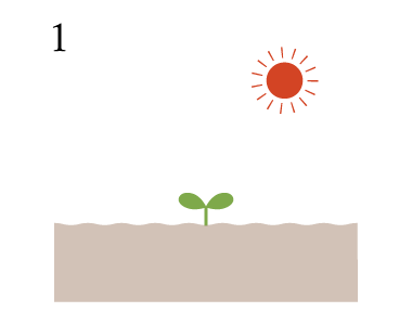 1. 有機肥料で栽培